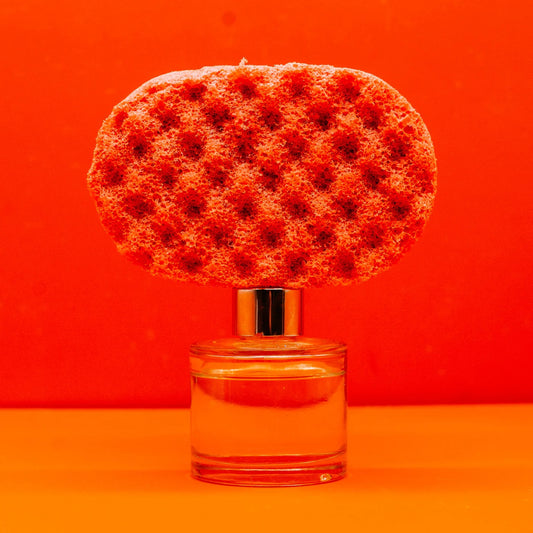 Red Soap Sponge